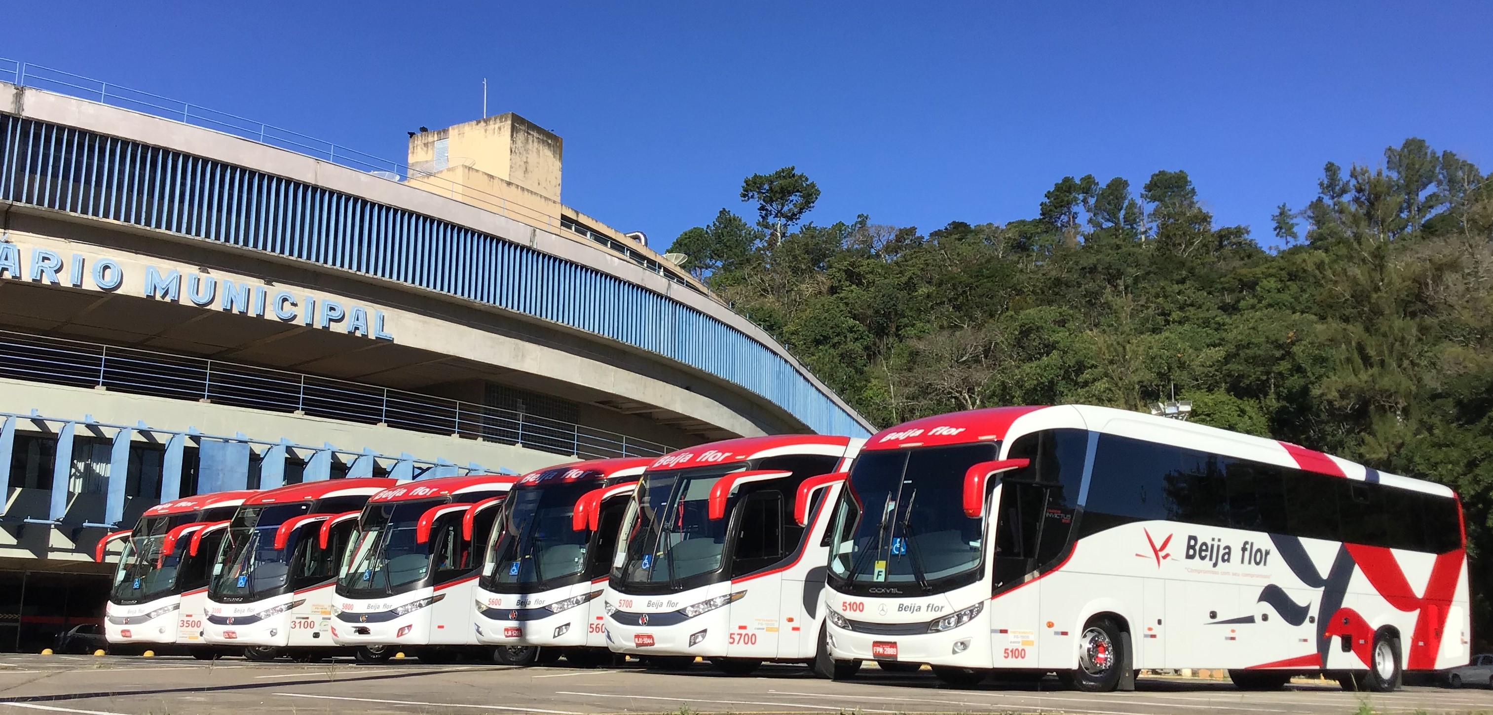 Locações de Veículos Executivos